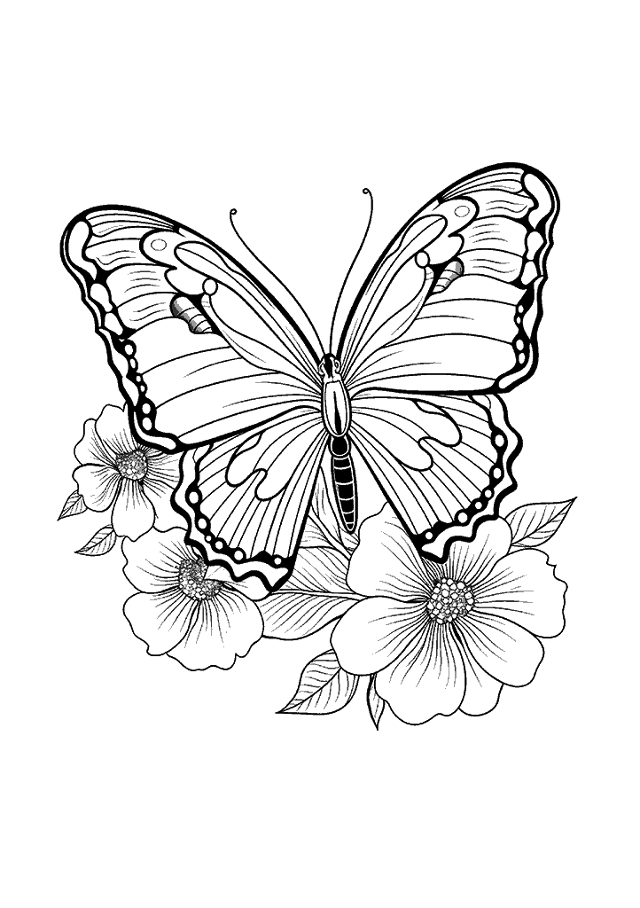 borboleta para colorir