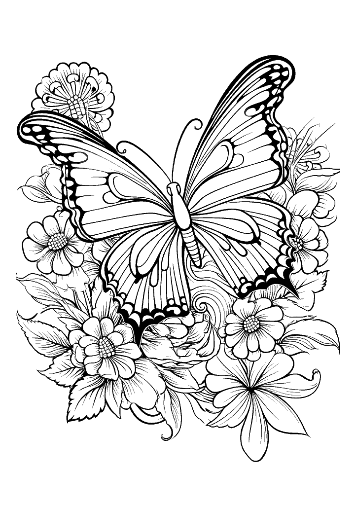 borboleta para colorir