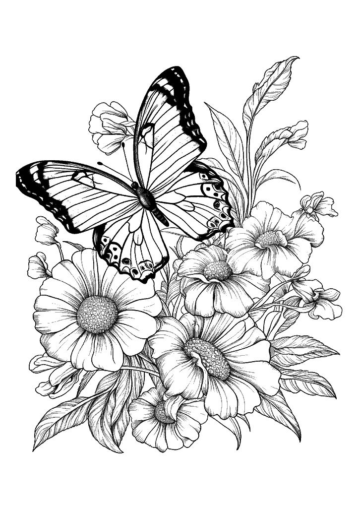 borboleta para colorir
