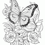 borboleta para colorir