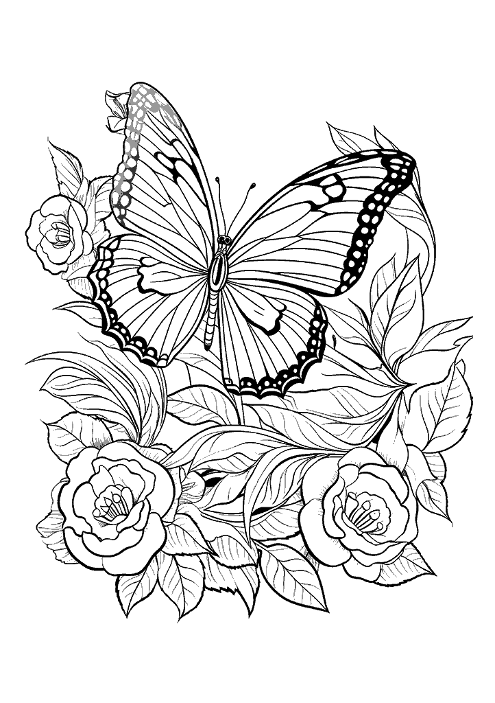 borboleta para colorir