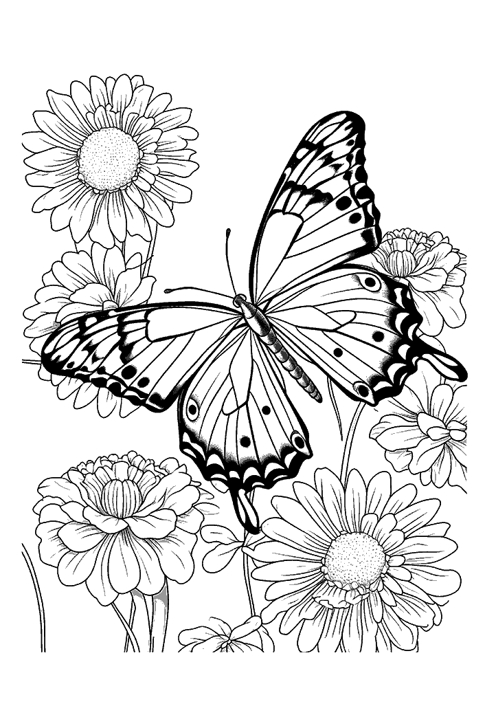 borboleta para colorir