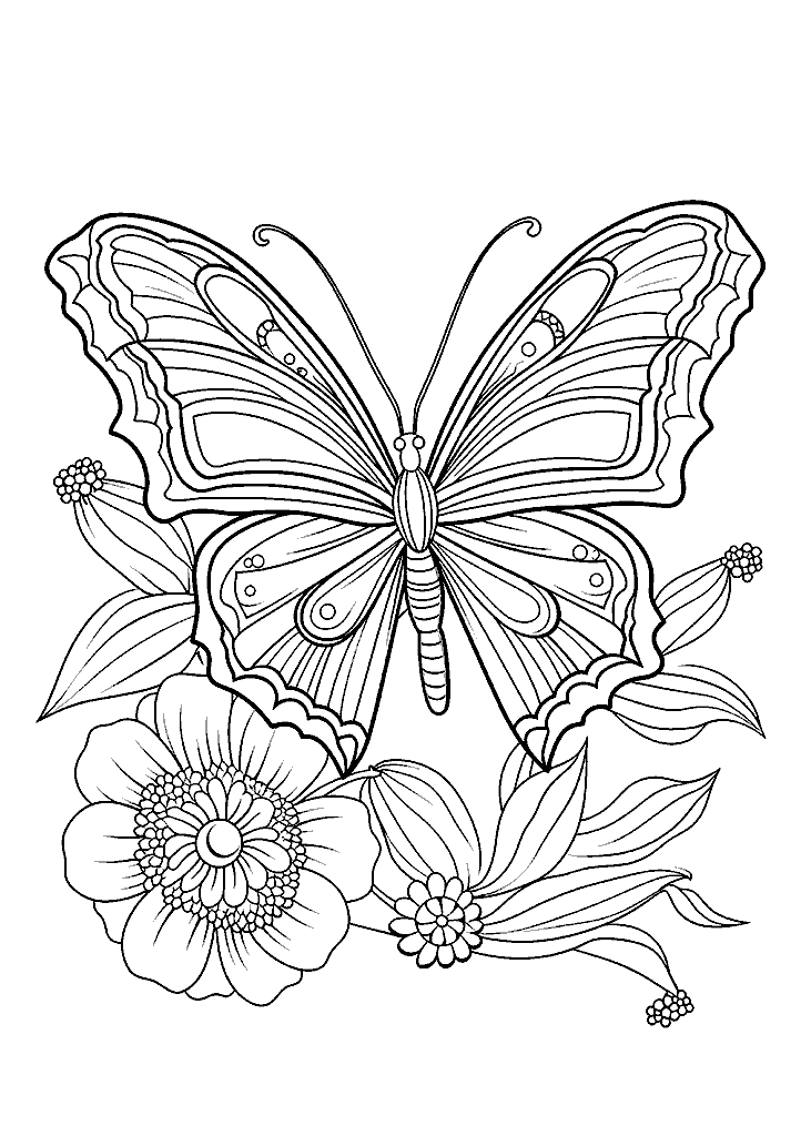 borboleta para colorir