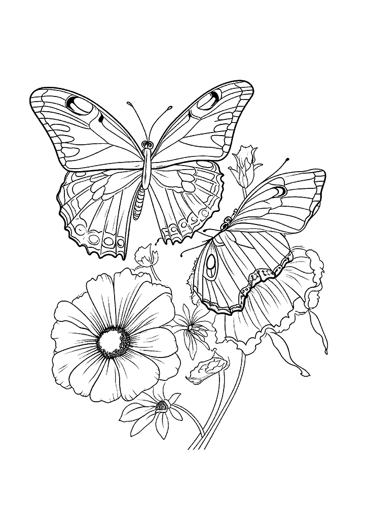 borboleta para colorir