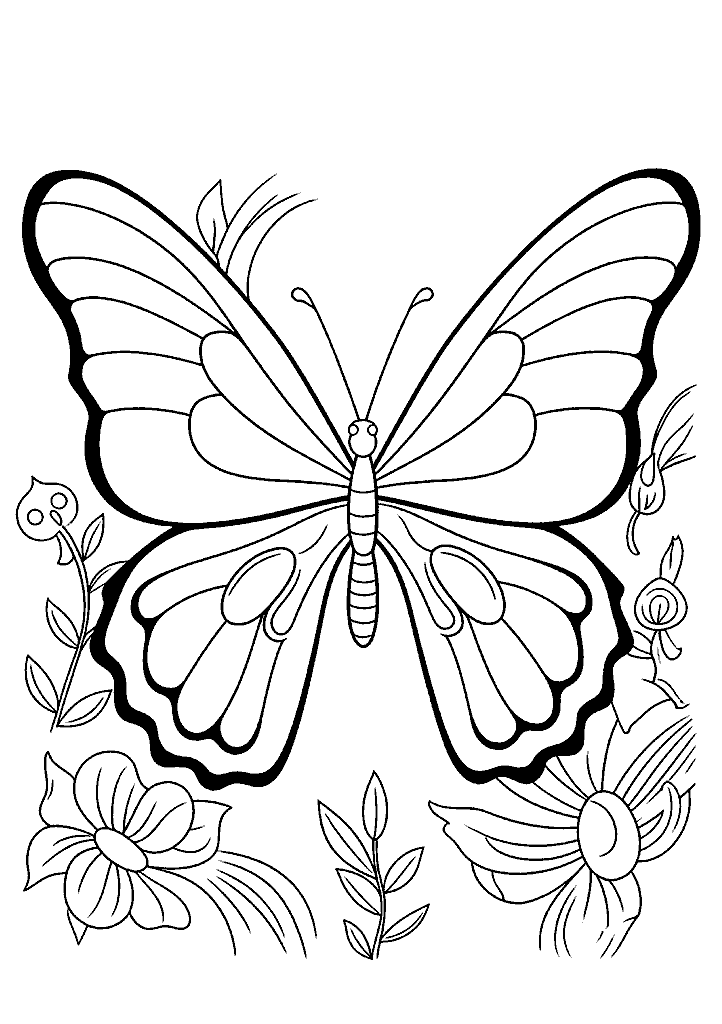 borboleta para colorir