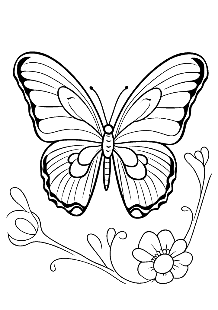 borboleta para colorir