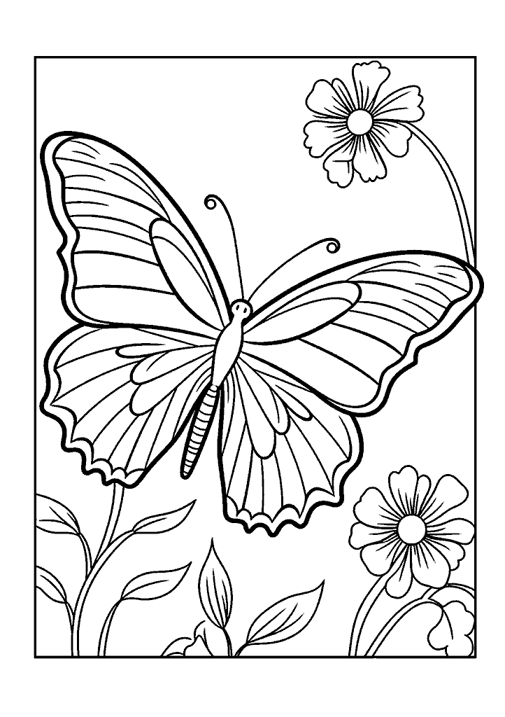 borboleta para colorir
