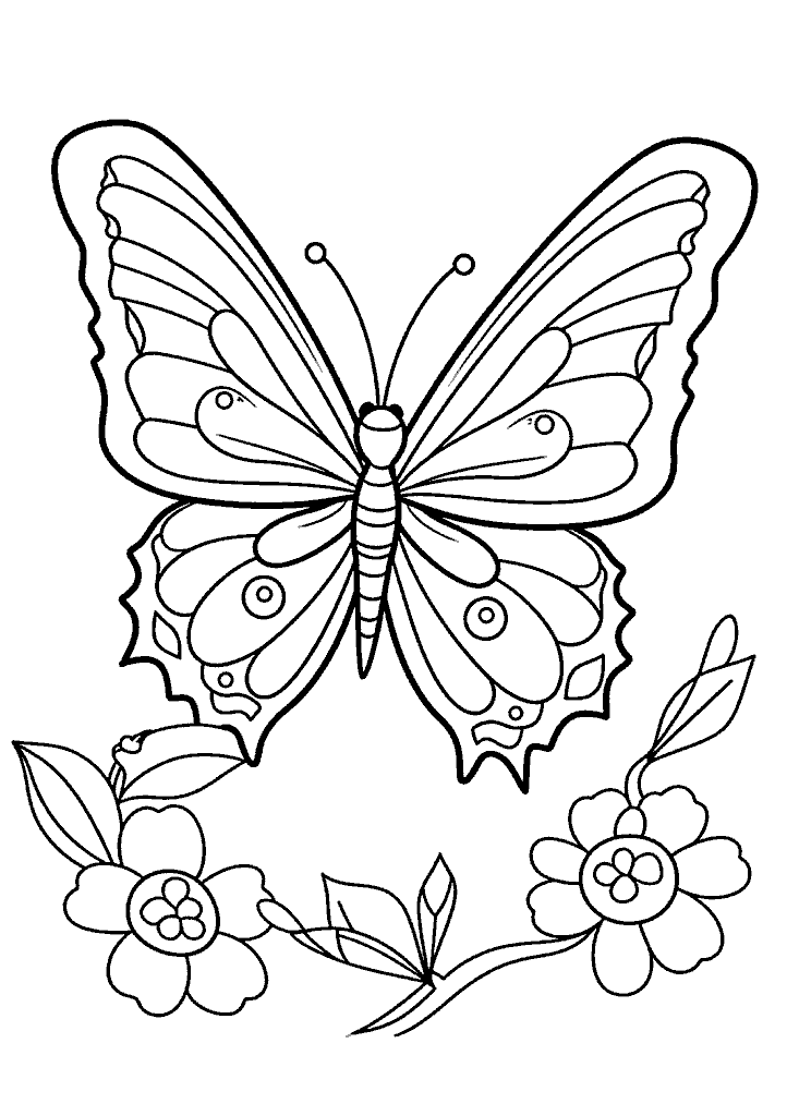 borboleta para colorir