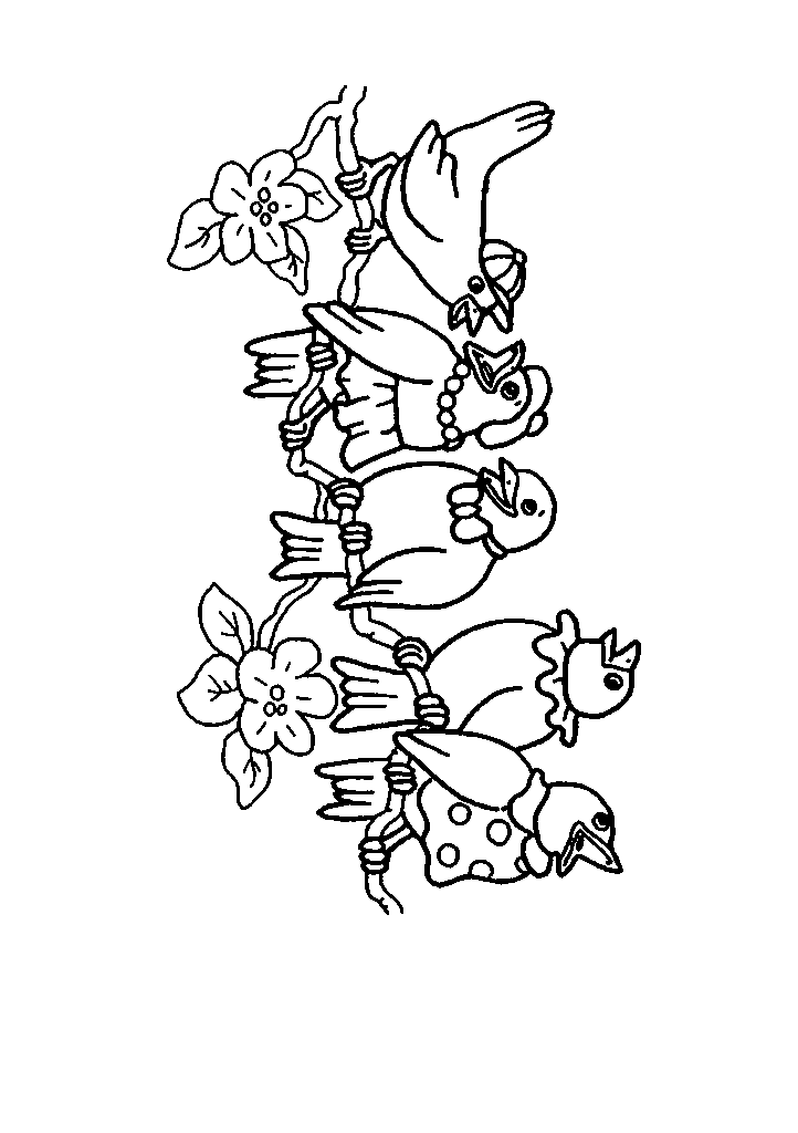 passaros para colorir