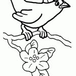 passaros para colorir
