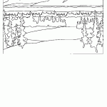passaros para colorir