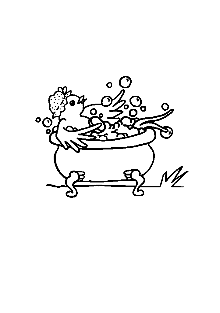 passaros para colorir
