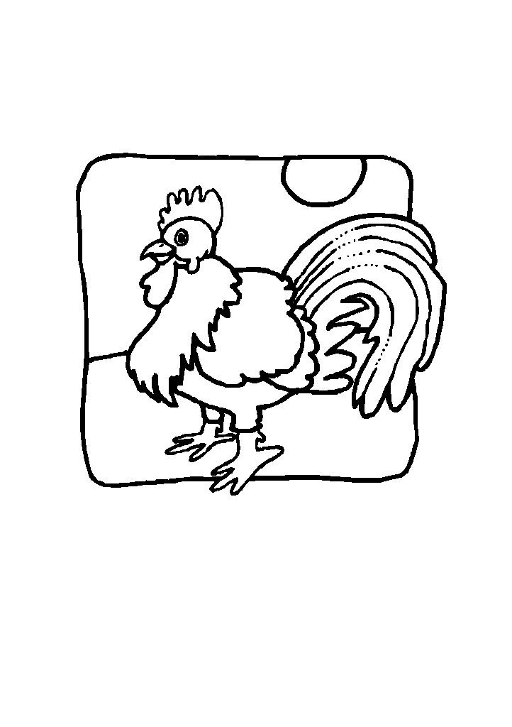 passaros para colorir