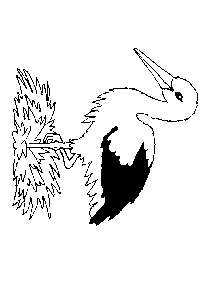 passaros para colorir
