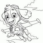 patrulha canina para colorir