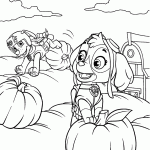 patrulha canina para colorir