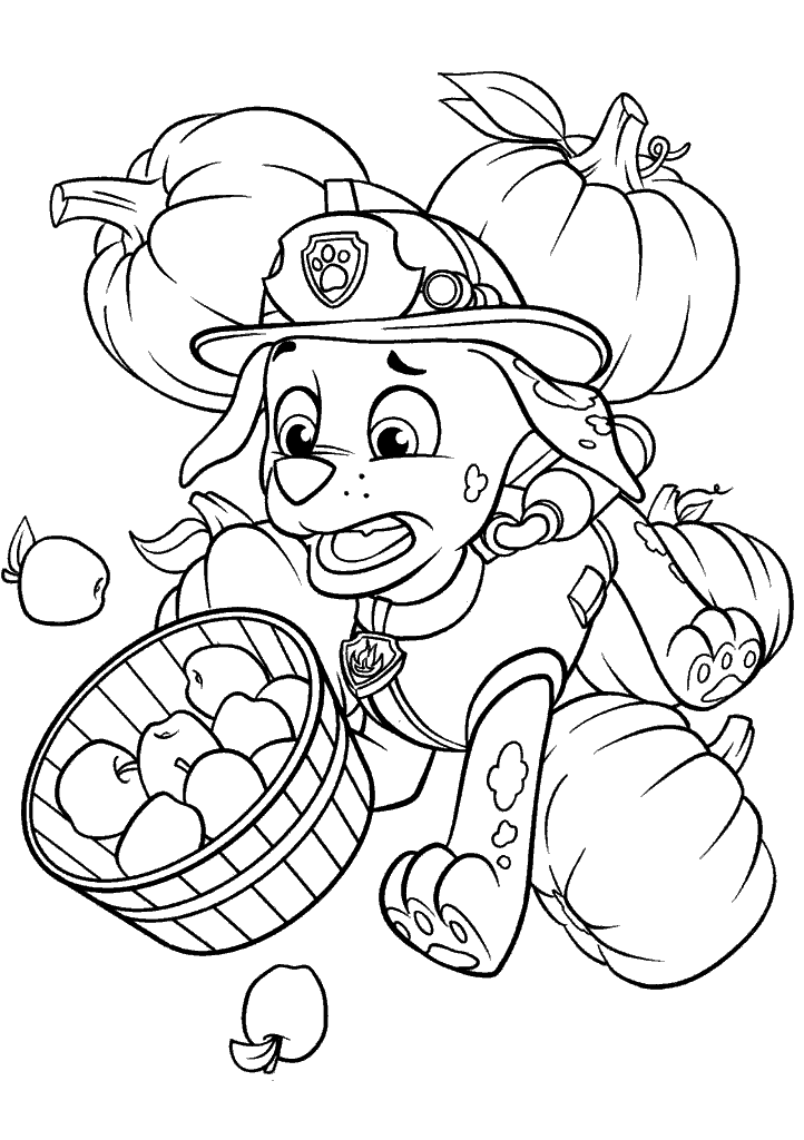 patrulha canina para colorir