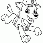 patrulha canina para colorir