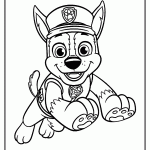 patrulha canina para colorir