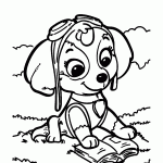 patrulha canina para colorir