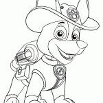patrulha canina para colorir